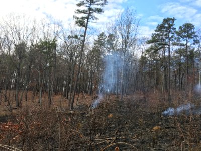 Controlled burn to restore mountain longleaf pine in northwest Georgia - 170317-FS-Chattahoochee-Oconee-SB-039