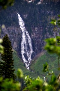 Birdwoman Falls Through the Trees photo