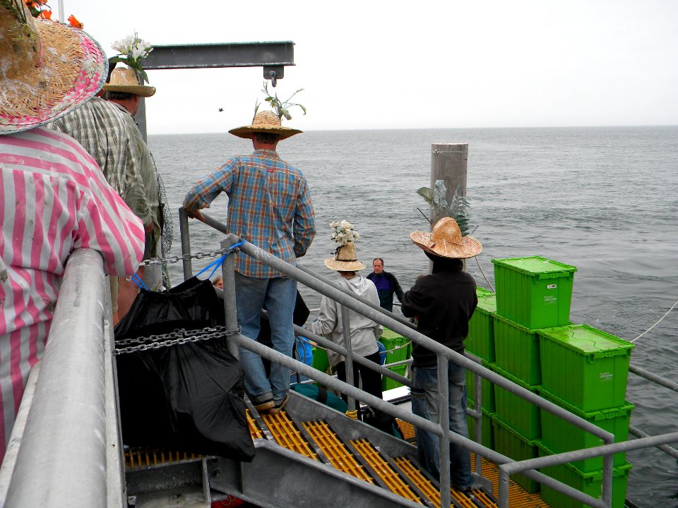 Great Gull Island, NY