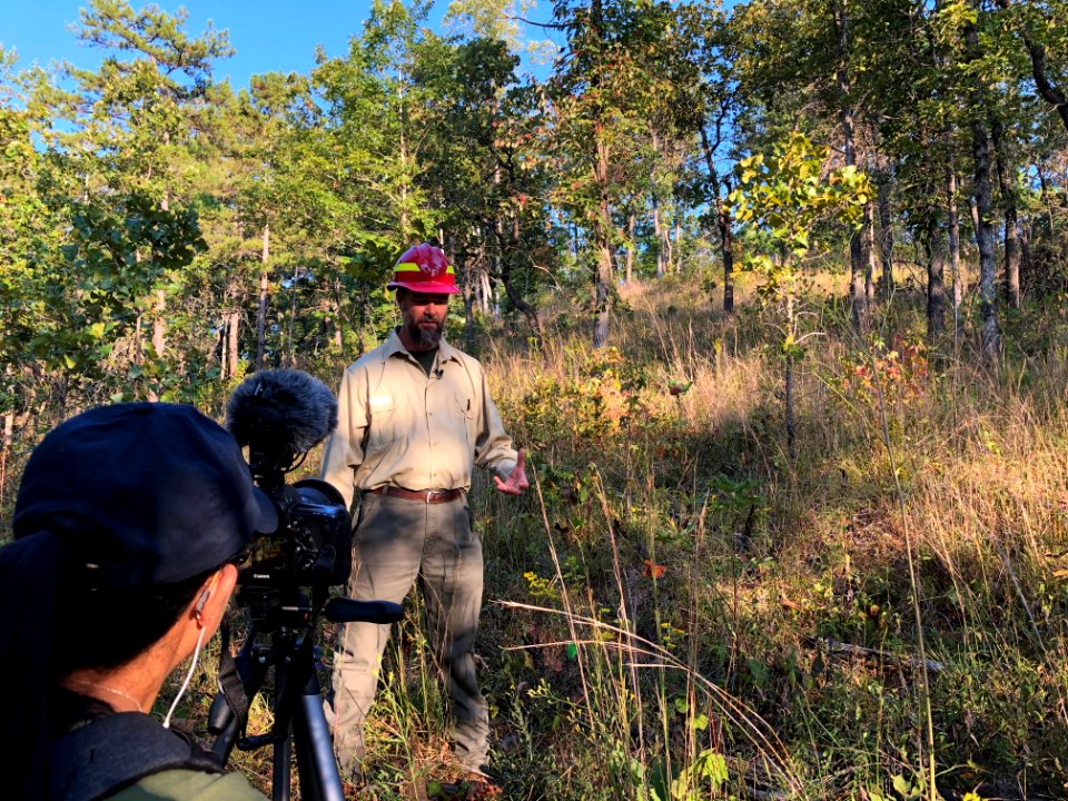 New Videos Released on the History and Future of Prairies in the Piedmont – Important to People, Pollinators, and Wildlife