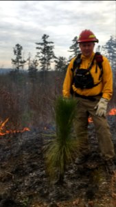 Controlled burn to restore mountain longleaf pine in northwest Georgia - 170317-FS-Chattahoochee-Oconee-SB-019