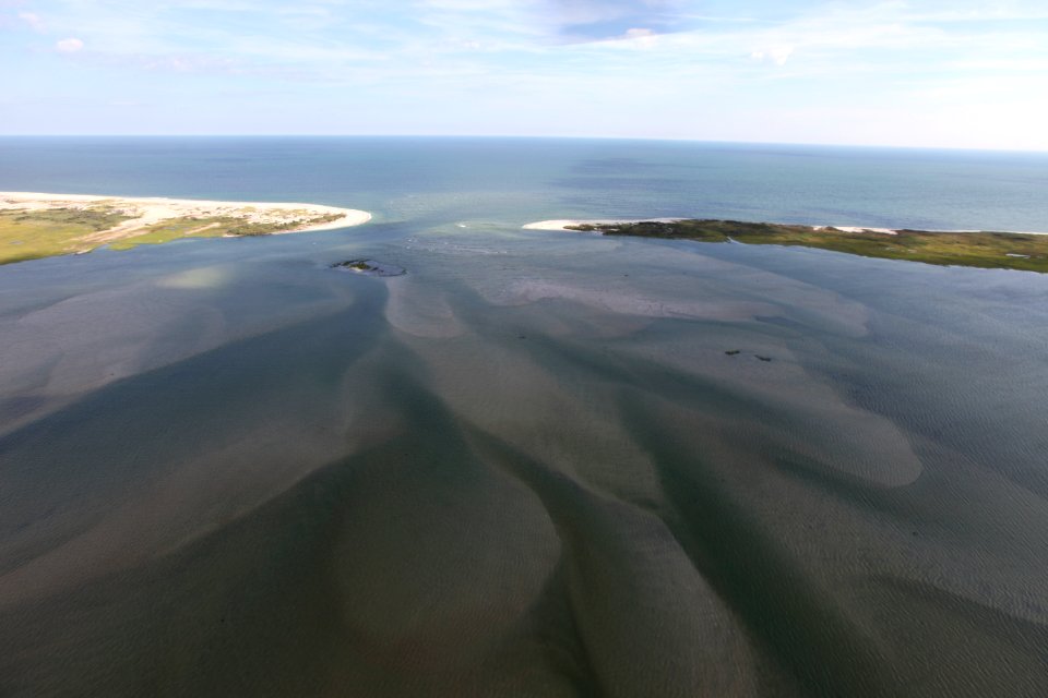 Day 1 - Long Island NWR (NY)