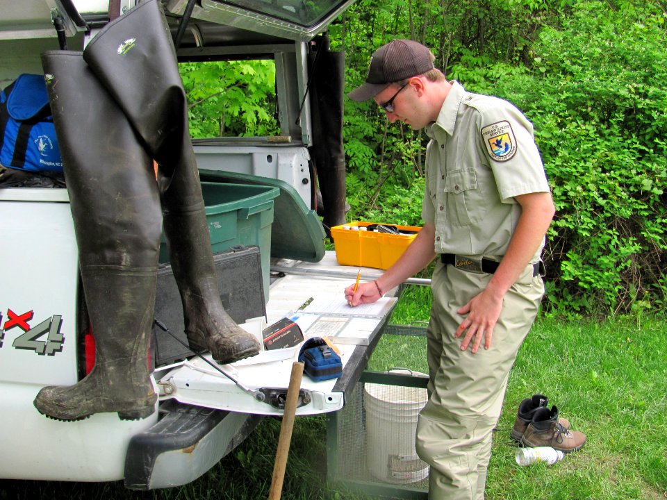 Field work