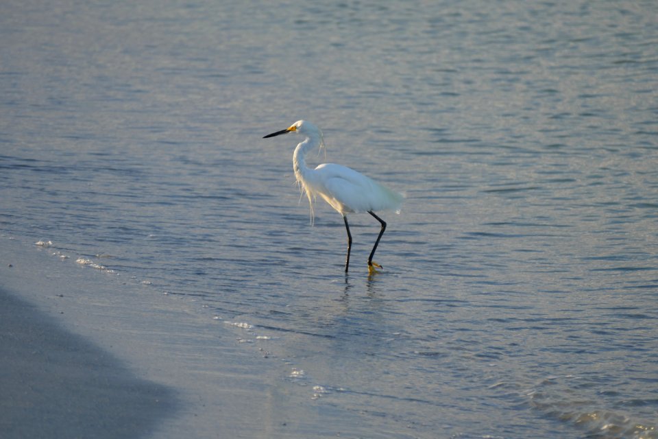 Pass-A-Grille Beach