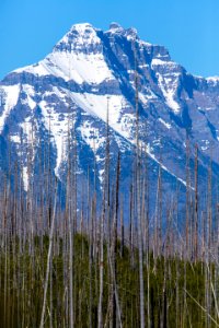 Mt. Cannon from Camas Road (2)