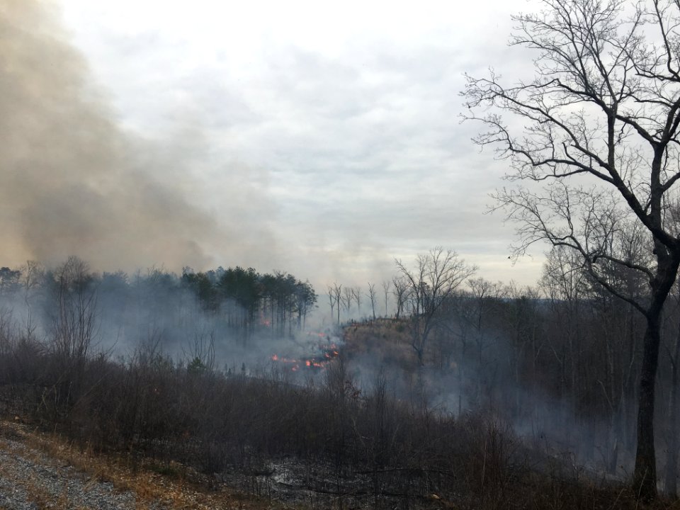 Controlled burn to restore mountain longleaf pine in northwest Georgia - 170317-FS-Chattahoochee-Oconee-SB-028
