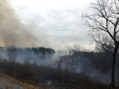 Controlled burn to restore mountain longleaf pine in northwest Georgia - 170317-FS-Chattahoochee-Oconee-SB-028