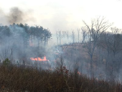Controlled burn to restore mountain longleaf pine in northwest Georgia - 170317-FS-Chattahoochee-Oconee-SB-034