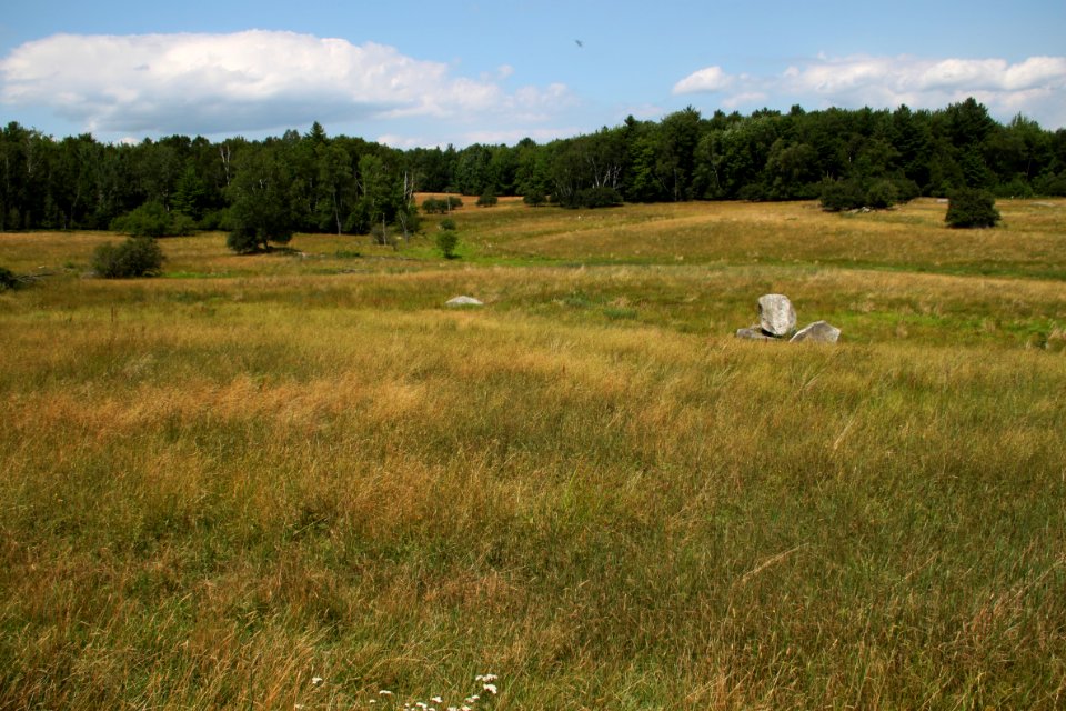 Grassland at Eagle Point Unit of the Missisquoi National Wildlife Refuge