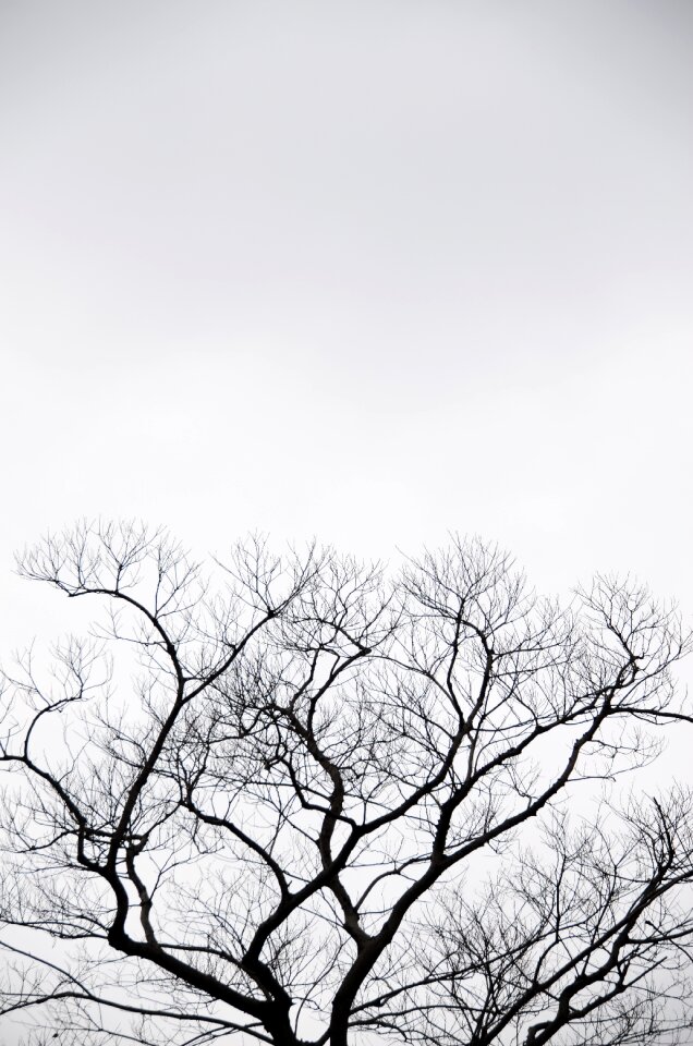Sky 陰 natural