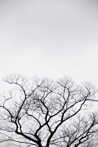 Sky 陰 natural