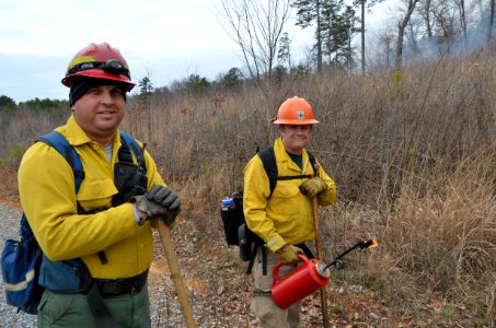 Controlled burn to restore mountain longleaf pine in northwest Georgia - 170317-FS-Chattahoochee-Oconee-SB-050