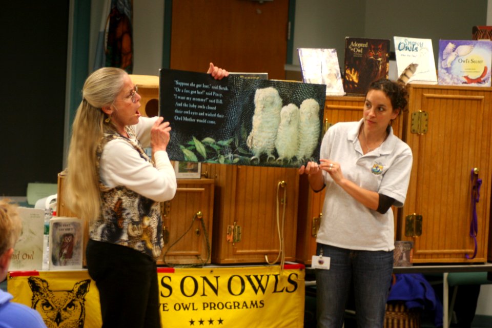 Poster of Snowy Owls