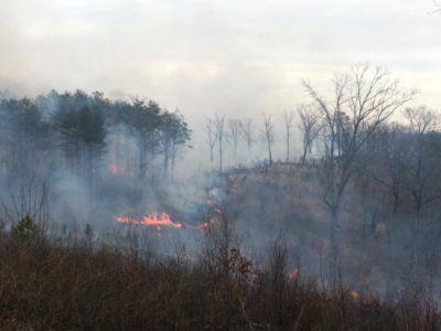 Controlled burn to restore mountain longleaf pine in northwest Georgia - 170317-FS-Chattahoochee-Oconee-SB-033