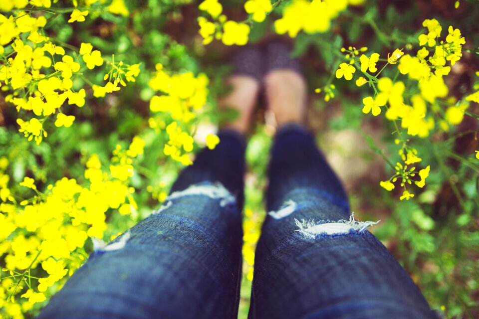 Unconcern flowers yellow