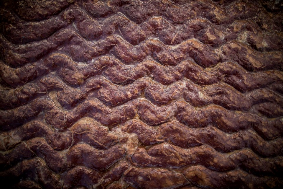 Red Rock Ripples