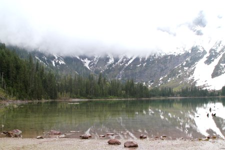 Avalanche Lake Hike
