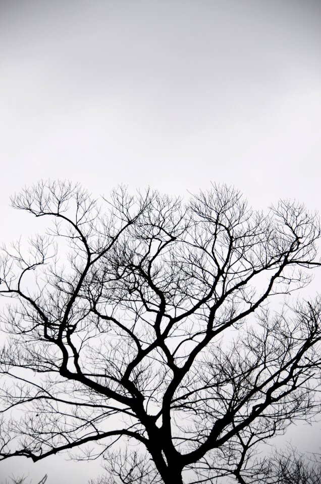 Sky 陰 natural