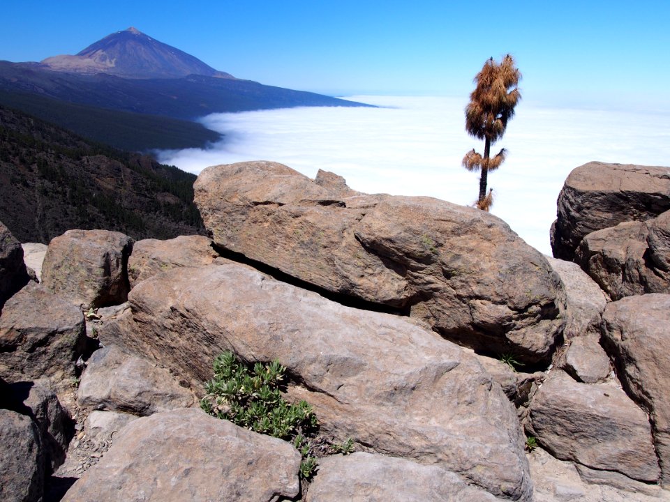 El Teide sobre el mar de nubes desde la dorsal de Tenerife