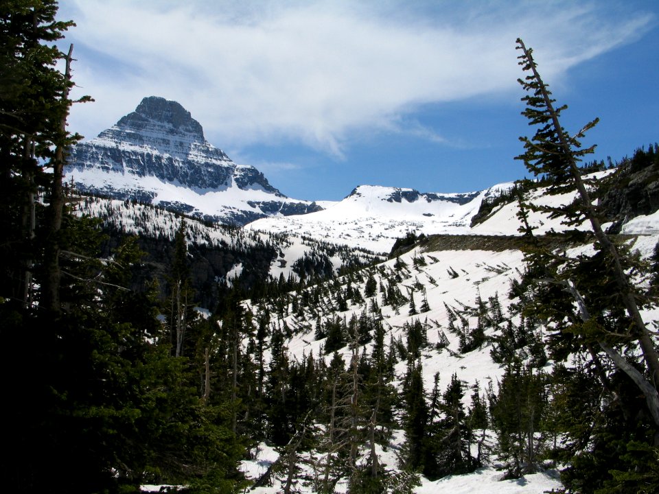 Mt. Reynolds