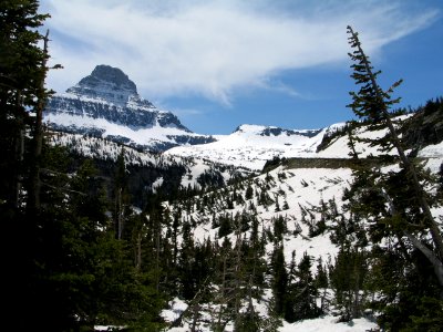 Mt. Reynolds