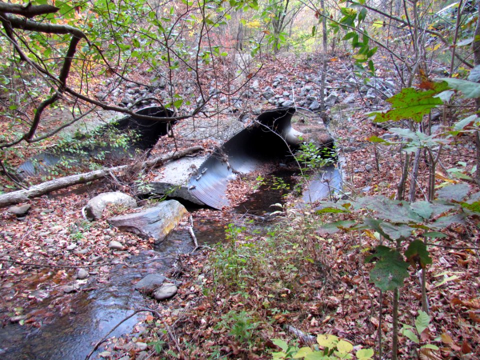 Culvert at Mill Creek at Rocky Flats road IMG 0447
