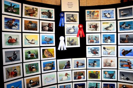 All entries