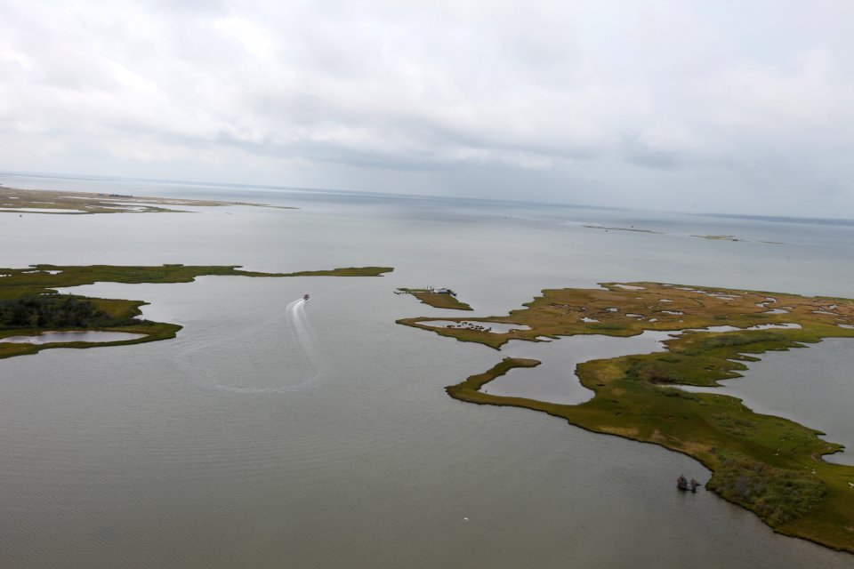 Day 4  - Tom's Cove, Chincoteague National Wildlife Refuge- Hurricane Sandy Aerial Tour