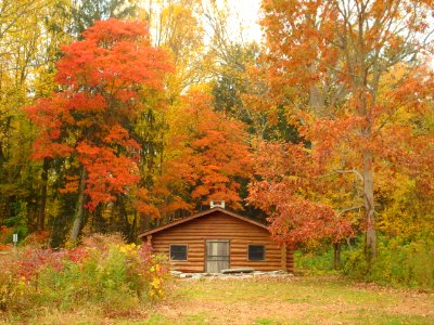 Historic cabin surrounded by fall foliage at Stewart B. McKinney NWR