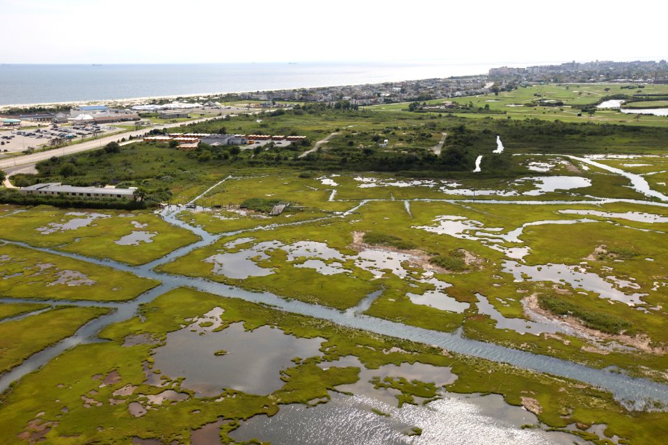 Day 1 - Long Island NWR (NY)