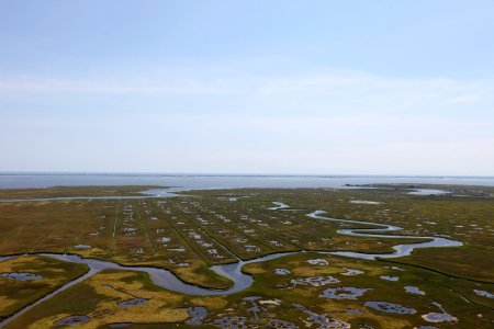 Day 2 - Forsythe National Wildlife Refuge Flyover