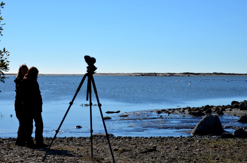 Documenting the transformation at Trustom Pond National Wildlife Refuge (RI)
