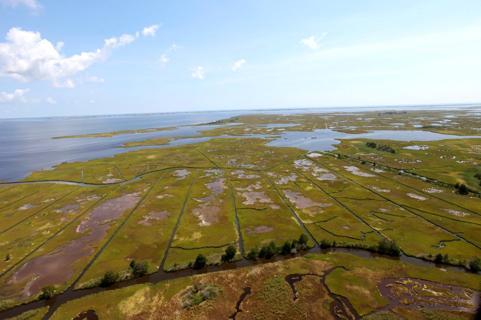 Day 2 - Forsythe National Wildlife Refuge Flyover