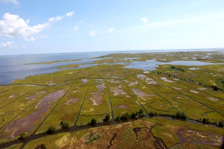 Day 2 - Forsythe National Wildlife Refuge Flyover