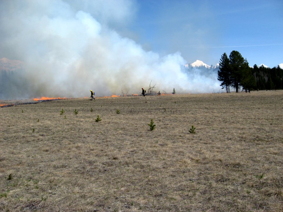 Prescribed Burn, Big Prairie, North Fork Area, 5-1-2014
