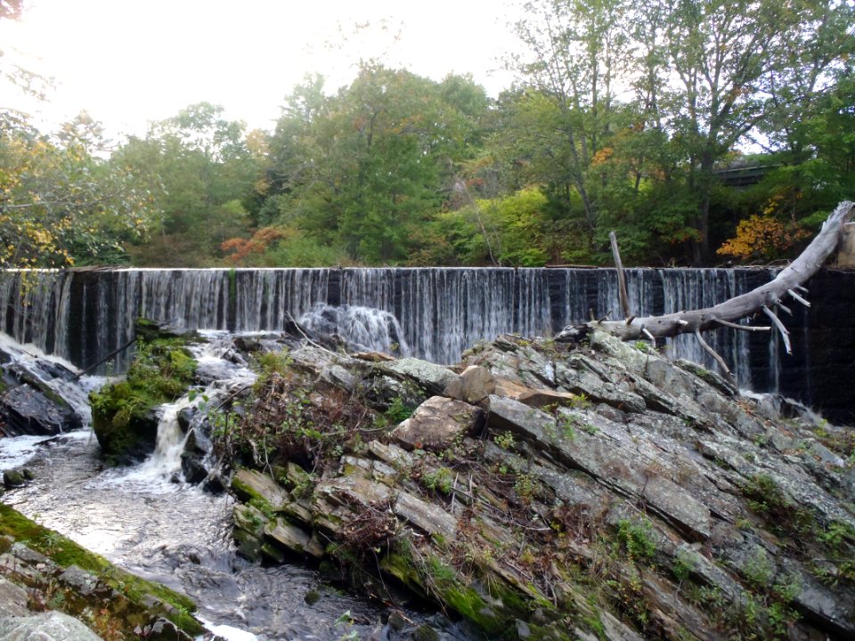 Small dams are barriers to fish