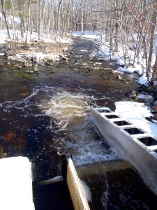 Davis Pond fishway, Maine