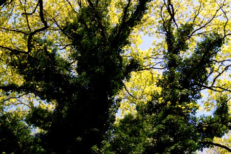 Blick nach oben
