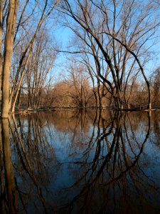 Connecticut River Reflections photo