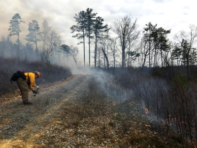 Controlled burn to restore mountain longleaf pine in northwest Georgia - 170317-FS-Chattahoochee-Oconee-SB-011
