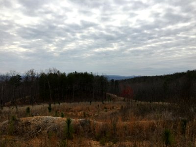 Controlled burn to restore mountain longleaf pine in northwest Georgia - 170317-FS-Chattahoochee-Oconee-SB-006