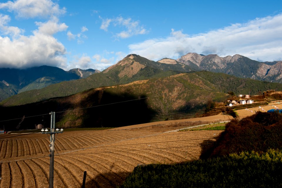 DSC 8769