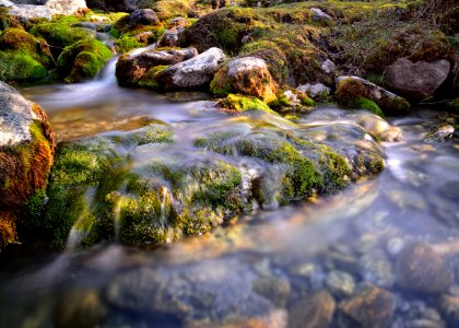 Mossy Stream photo