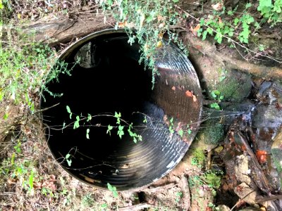 Holly creek culvert