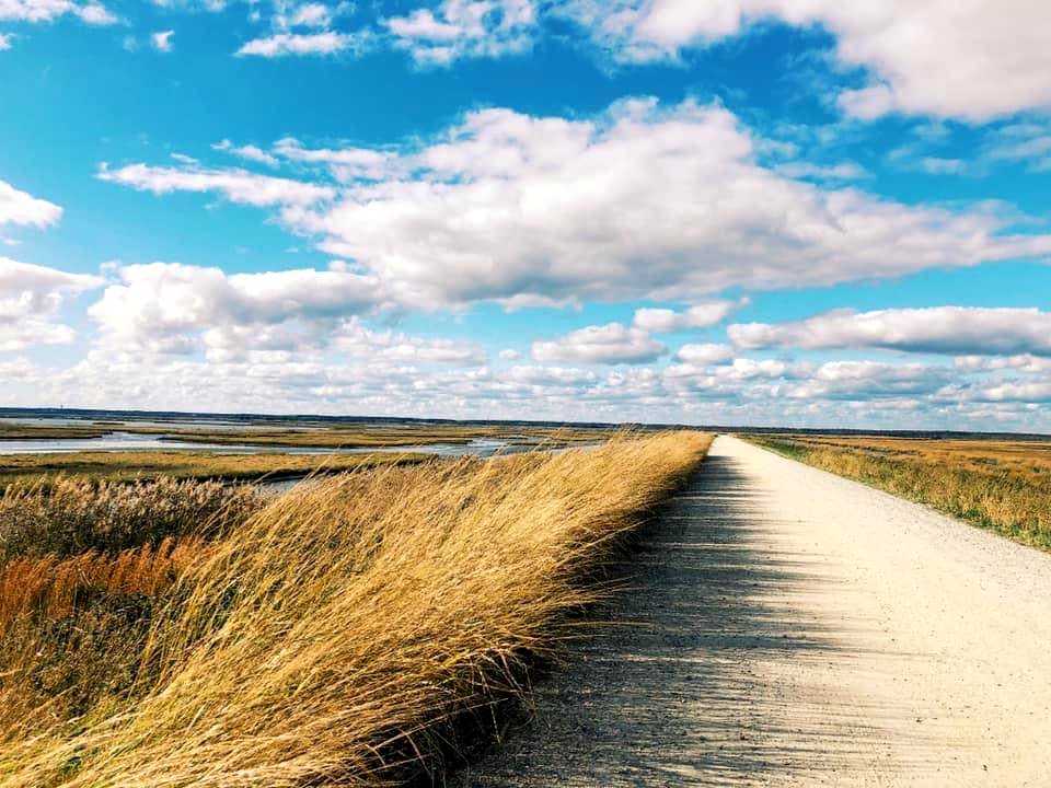 Wildlife Drive at Edwin B. Forsythe National Wildlife Refuge
