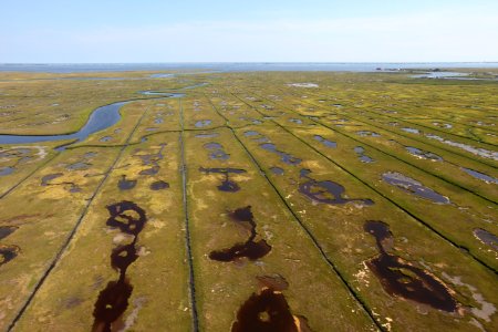 Day 2 - Forsythe National Wildlife Refuge Flyover