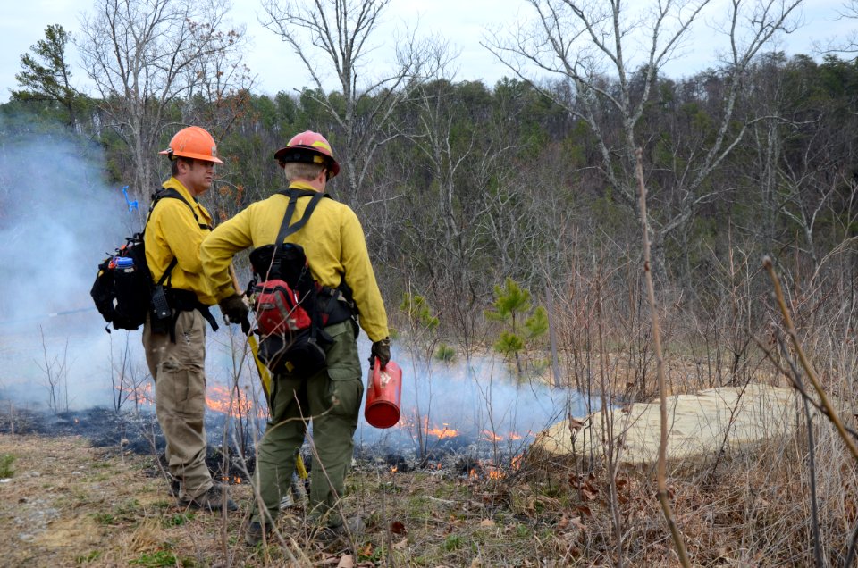 Controlled burn to restore mountain longleaf pine in northwest Georgia - 170317-FS-Chattahoochee-Oconee-SB-048