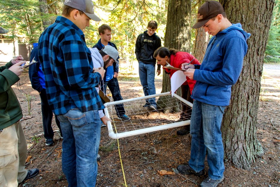 Fish Creek Planting and Monitoring Project 2016