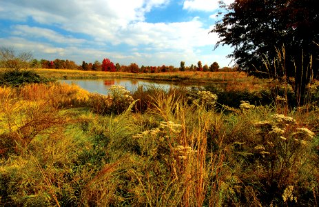 Occoquan Bay National Wildlife Refuge: Peaks October 20 - October 31
