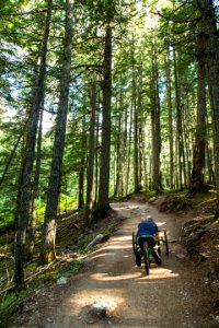 Avalanche Lake Hike with Off-road Wheelchair 11 photo